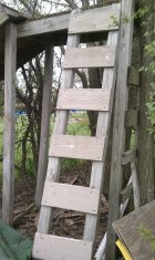 296021.jpeg 296021.jpeg