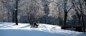 Vacheron Constantin Snow Golf Cup 