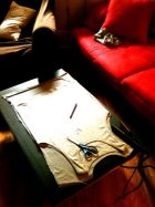 Day 17 of 30 Days Of AWESOME! - Sewing Project 