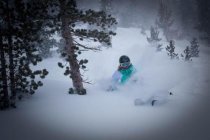 Kristi in Best Photos of 2010 