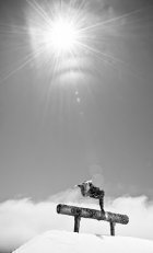 Danny Is The Bomb.com 