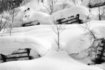 Newschoolers / issue one 