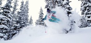 Seth Morrison ? The Ordinary Skier Trailer 2 