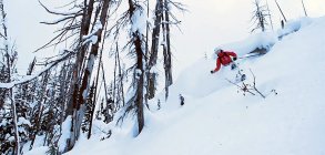 POWDER! Great Canadian Heli-Skiing Winters 2010 and 2011 
