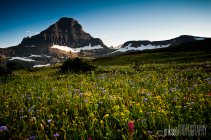 Checking in from Montana 