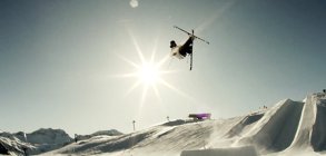 BMP Pictures: We Love Snow! 