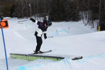 On a stroll through the park... 