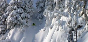 Sammy Carlson: Dakine Shred Flick 