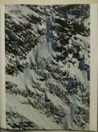 Faction Skiers and Powder Magazine 