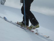 Techno Telemark Update from Martha Burley 