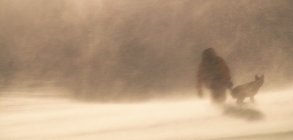 On The Road with Solitaire 