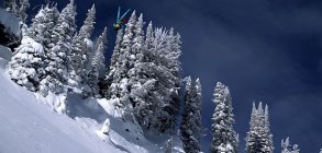 Seth Morrison: The Ordinary Skier 