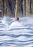 What it?s All About. 