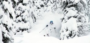 Armada: ARtrip Retallack feat. Riley Leboe, Ian Provo, Dania Assaly 