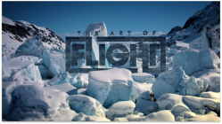 The Art of FLIGHT 
