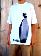 345308.jpeg 345308.jpeg