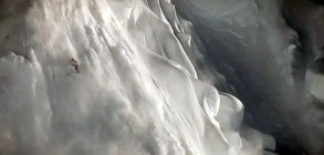 Sherpas Cinema: ALL.I.CAN. UK Premiere 