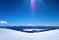 SGT Campers Found the Powder! 