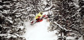 4bi9 Media: Grizzly Gulch ? Gunnie Season 