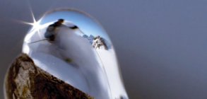 Sherpas Cinema: All.I.Can. teaser 2 