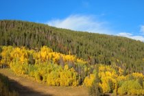 TD3: Pickin’ Berries 