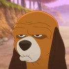 354274.jpeg 354274.jpeg