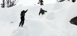 Teton Gravity Research: Tree People 