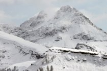 370198.jpeg 370198.jpeg