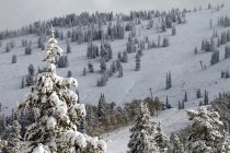 370199.jpeg 370199.jpeg