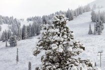 370201.jpeg 370201.jpeg