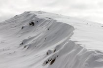 370203.jpeg 370203.jpeg