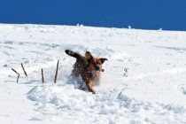 370218.jpeg 370218.jpeg