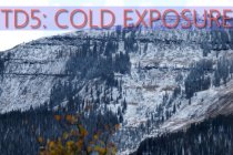 TD5: Cold Exposure Training 