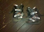 373249.jpeg 373249.jpeg