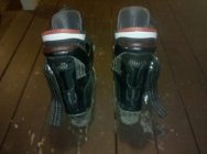 373251.jpeg 373251.jpeg