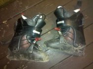 373252.jpeg 373252.jpeg