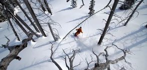 The Adventurer ? Featuring Dave Treadway 