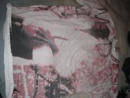 374358.jpeg 374358.jpeg