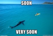 374843.jpeg 374843.jpeg