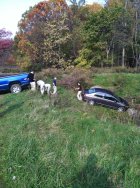 376295.jpeg 376295.jpeg