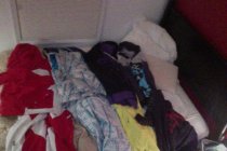 376736.jpeg 376736.jpeg