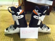 381437.jpeg 381437.jpeg