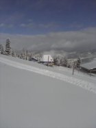 11/7/11  First turns of the year 