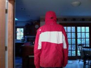 384864.jpeg 384864.jpeg