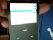 384952.jpeg 384952.jpeg