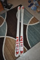 385561.jpeg 385561.jpeg