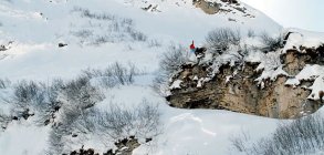 TFJprod.?s Every Direction (2011) Full Movie 