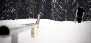 Wallisch Wednesdays 2011/2012 trailer 