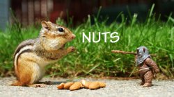 387787.jpeg 387787.jpeg