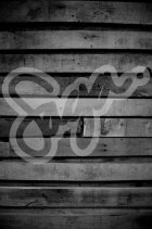 The Ship is Sailing. 